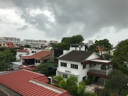 Chuan Garden (D19), Semi-Detached #171409522